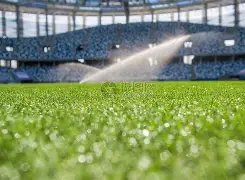 费德勒南美,日豪赚千万,美元,九游娱乐,九游娱乐官网,中国九游娱乐,九游娱乐入口